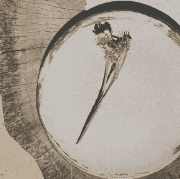 Villa Coconut gallery 6